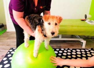 Physiotherapie auf dem Gymnastikball