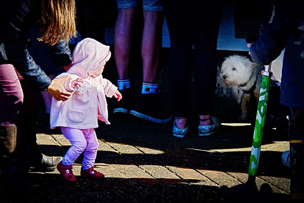 Knigge für Hundehalter