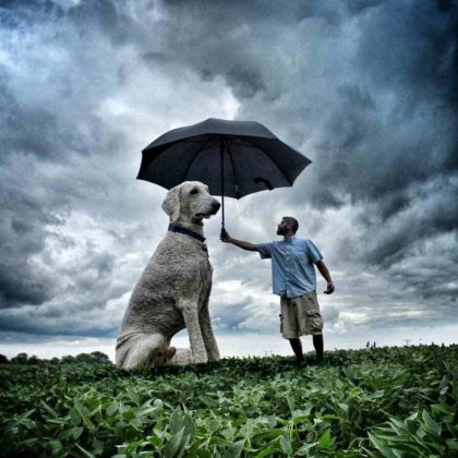 Juji und Chris im Regen