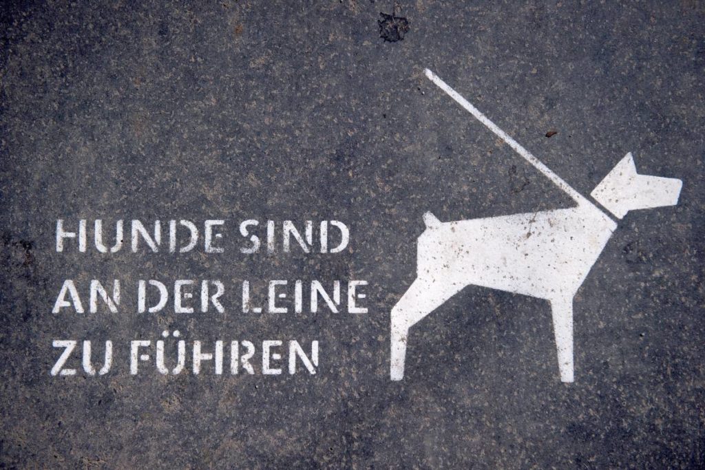 Keine Einigung zu Berliner Hundegesetz