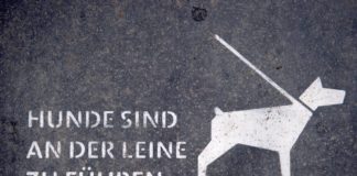 Keine Einigung zu Berliner Hundegesetz