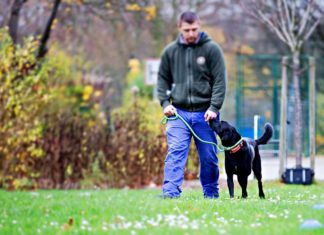 Der 24-jährige Burhan, Gefangener in der offenen Vollzugsanstalt Meisenhof