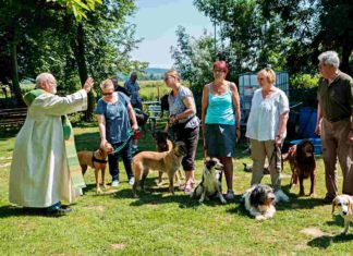 Hundesegnung in Springe