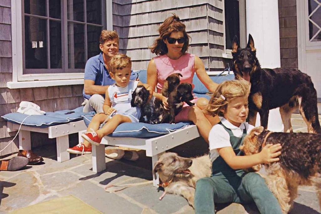 Neun HUnde lebten mit den Kennedys