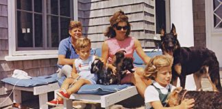 Neun HUnde lebten mit den Kennedys