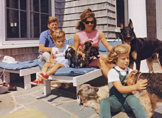 Neun HUnde lebten mit den Kennedys