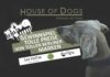 Gewinnspiel HOD - House Of Dogs