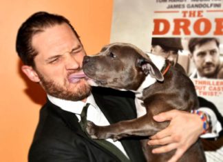 via 9gag-Tom-Hardy-Hunde-lecken-urban-dog