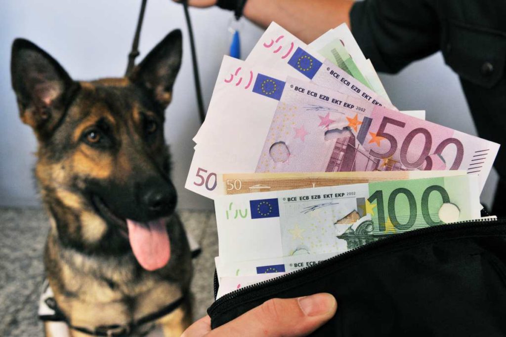 Banknotenspürhunde für Griechenland