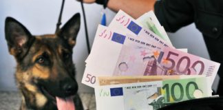 Banknotenspürhunde für Griechenland