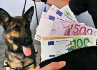 Banknotenspürhunde für Griechenland