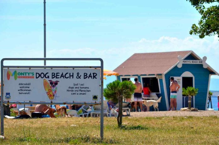 Monty's dog Hundestrand und Bar