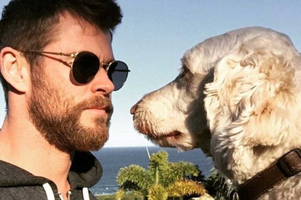 Chris Hemsworth im Anstarr-Wettbewerb gegen seinen Hund