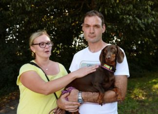 Dackel Bonny wieder auf dem Weg nach Brandenburg