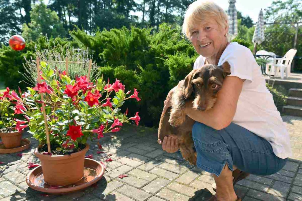 Gezerre um Dackeldame Bonny endlich vorbei!