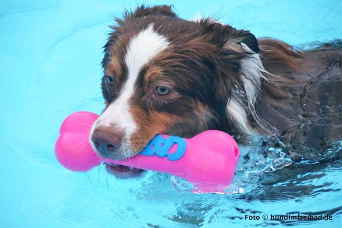 #hundimfreibad ein Vergnügen für Hund und Kommune