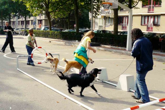 City Dog Adventures: Ein Abenteuerspielplatz für den urbanen Hund