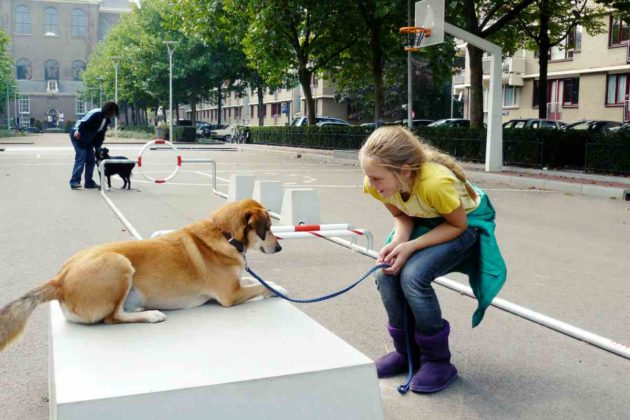 City Dog Adventures: Ein Abenteuerspielplatz für den urbanen Hund