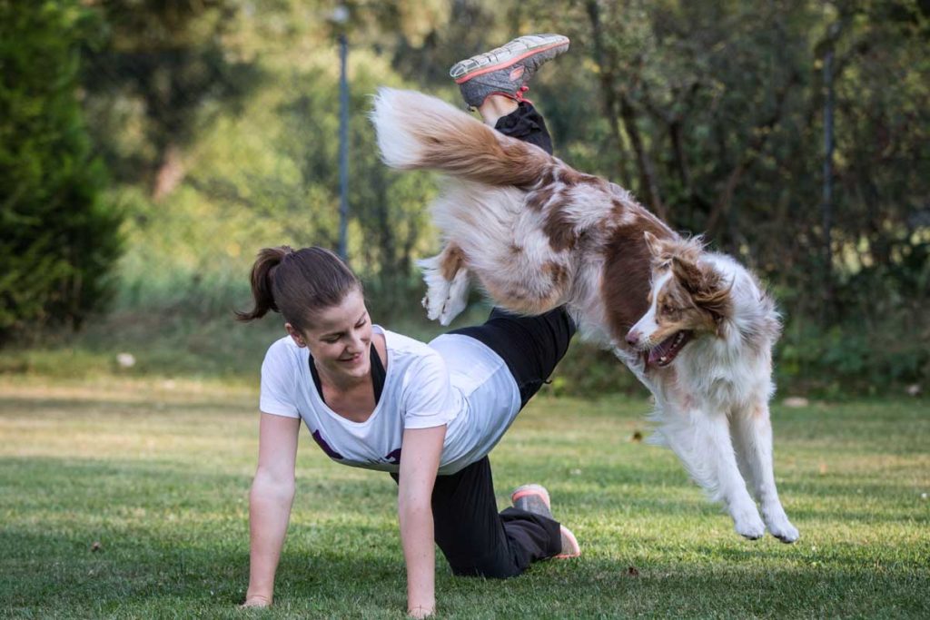 Training für die Dogdance-EM