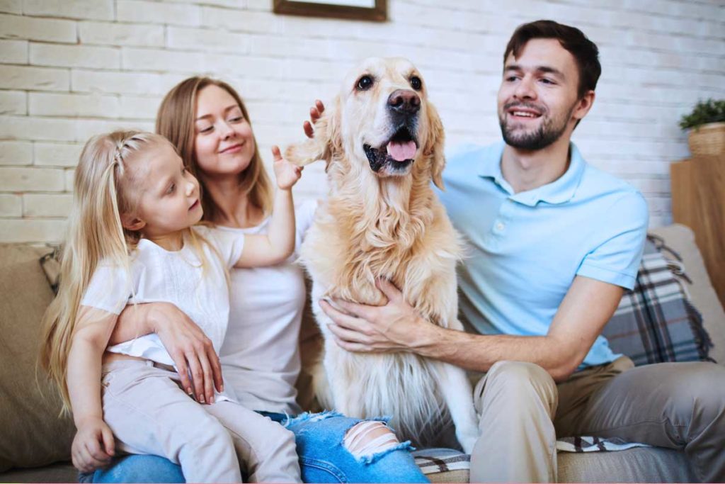 Familienhund braucht immer wieder Abstand von kleinen Kindern