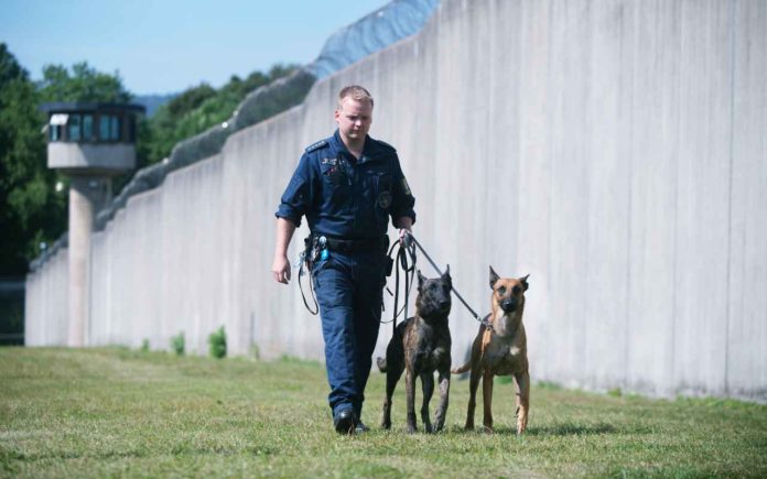 Handy-Spürhund "Bono" tritt seinen Dienst im Gefängnis an