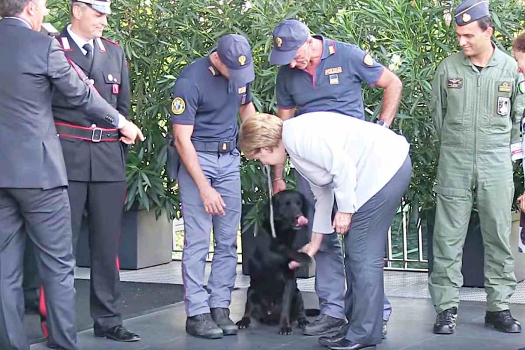 Merkel, Renzi und Papst Franziskus ehren Spürhund Leo für seinen Einsatz