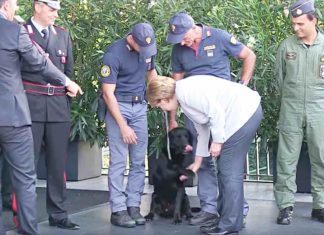 Merkel, Renzi und Papst Franziskus ehren Spürhund Leo für seinen Einsatz