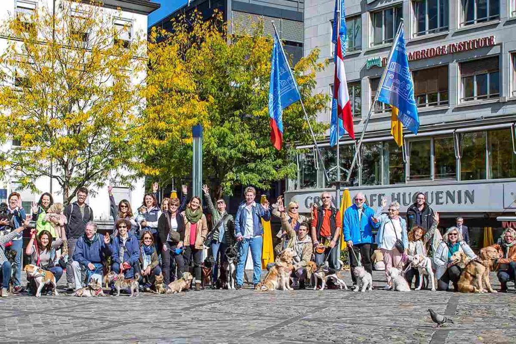 Flashmob in Basel: "Auch Hunde-Erziehung ist Tierschutz"