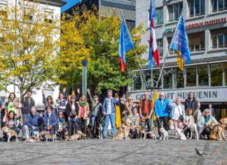 Flashmob in Basel: "Auch Hunde-Erziehung ist Tierschutz"