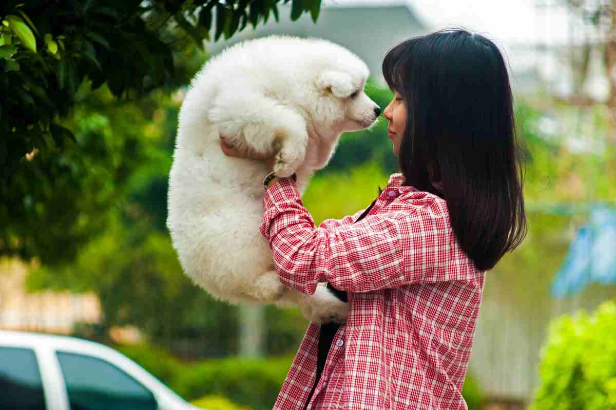 Wie lange hat man Zeit, um seinen Hund für eine erwünschte Handlung zu loben?