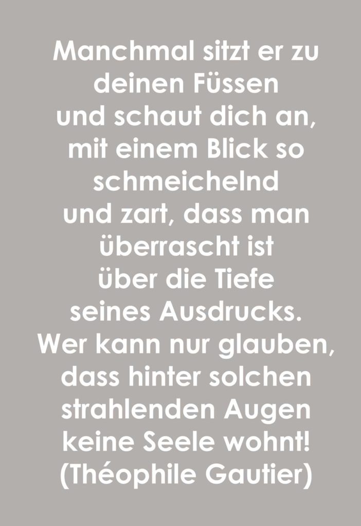 Welthundetag 2019 Die Themenseite Zum Welthundetag Urban Dog