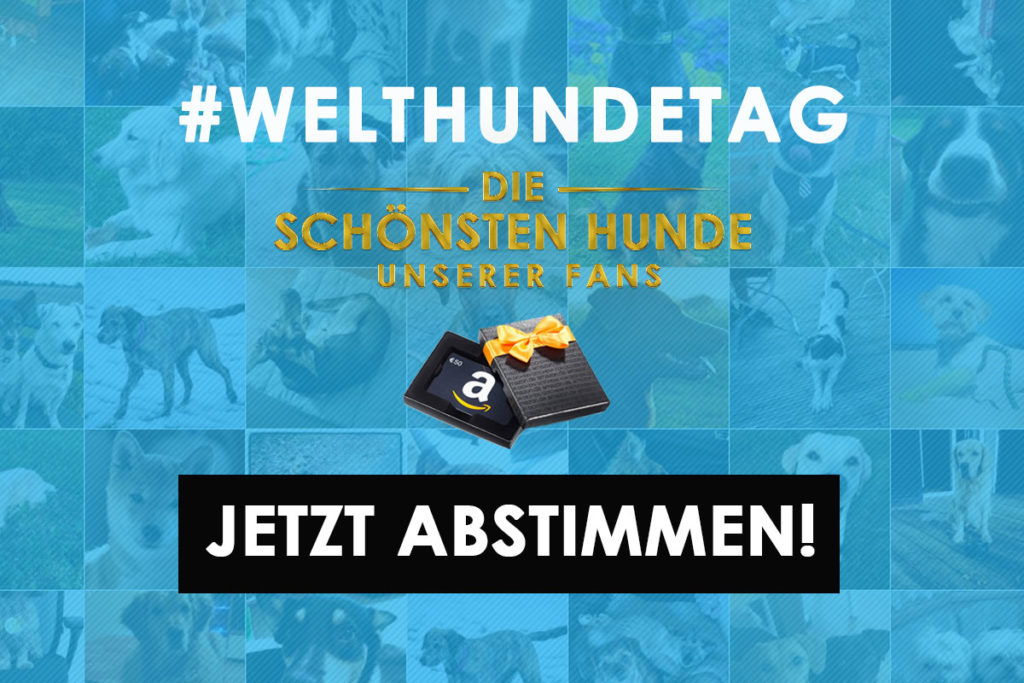 Welthundetag - Die schönsten Hunde unserer Fans