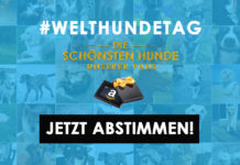 Welthundetag - Die schönsten Hunde unserer Fans