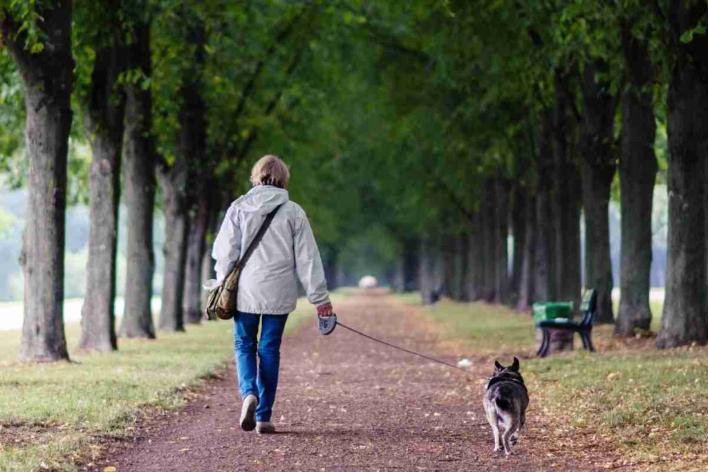 Rheinland-Pfalz: Jäger fordern Leinenzwang für Hunde