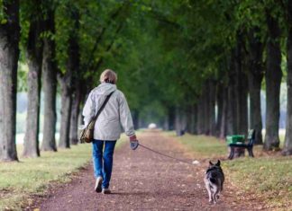 Rheinland-Pfalz: Jäger fordern Leinenzwang für Hunde