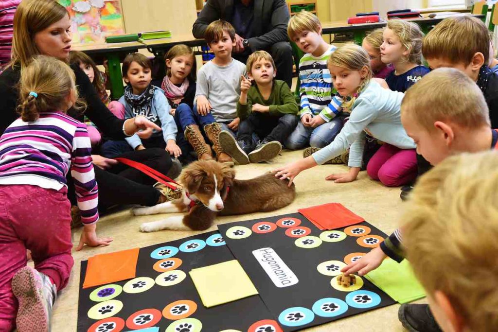 Hugo macht Schule: Bildungsminister besucht Potsdamer Schulhund