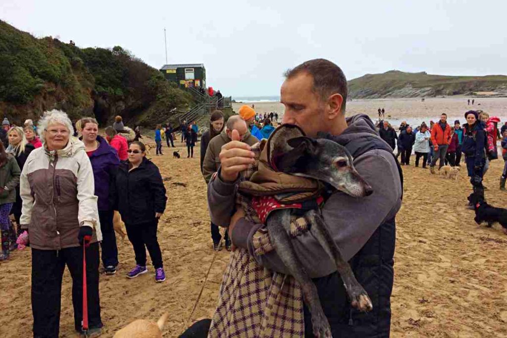 Hunderte gingen mit Whippet Walnut zum letzten Mal Gassi am Strand