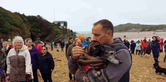 Hunderte gingen mit Whippet Walnut zum letzten Mal Gassi am Strand