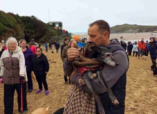 Hunderte gingen mit Whippet Walnut zum letzten Mal Gassi am Strand