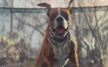 John Lewis Weihnachts Werbespot 2016 - BusterTheBoxer