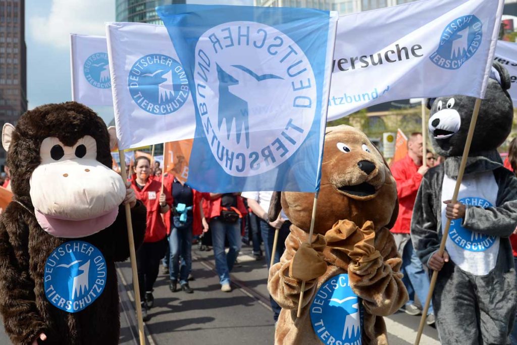 Brauchen Tiere Rechte? - Arte-Themenabend beschönigt nichts