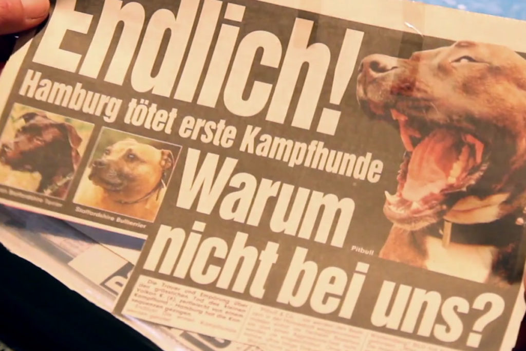 Freund oder Feind - Ein Film über Mensch-Hund-Beziehung