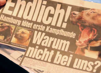 Freund oder Feind - Ein Film über Mensch-Hund-Beziehung