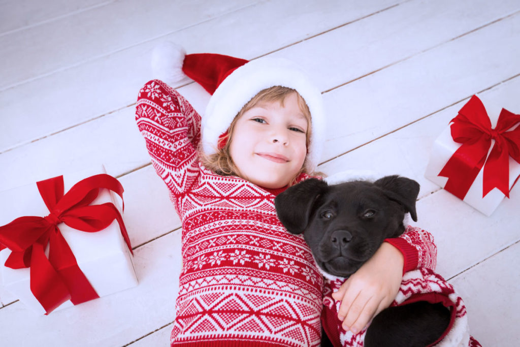 Hunde und Katzen werden seltener zu Weihnachtsgeschenken gemacht