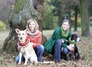 Nachhaltiges Hundezubehör: Hundedecke aus Regenschirm