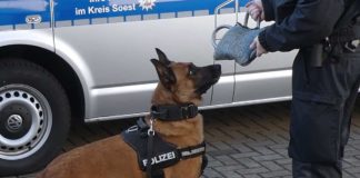 Betrunkener Schwarzfahrer traktiert Polizeihund "Joker" mit Tritten