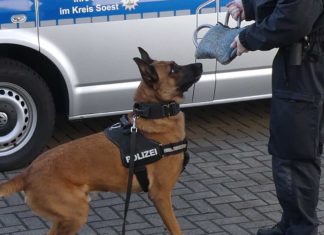 Betrunkener Schwarzfahrer traktiert Polizeihund "Joker" mit Tritten