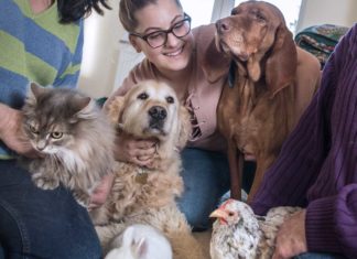 Die Wohngemeinschaft der Tiere: Huhn lebt mit Hunden und Katze