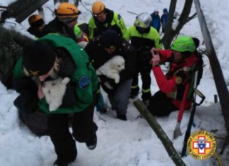 Drei Hundewelpen in Lawinen-Hotel lebend gefunden