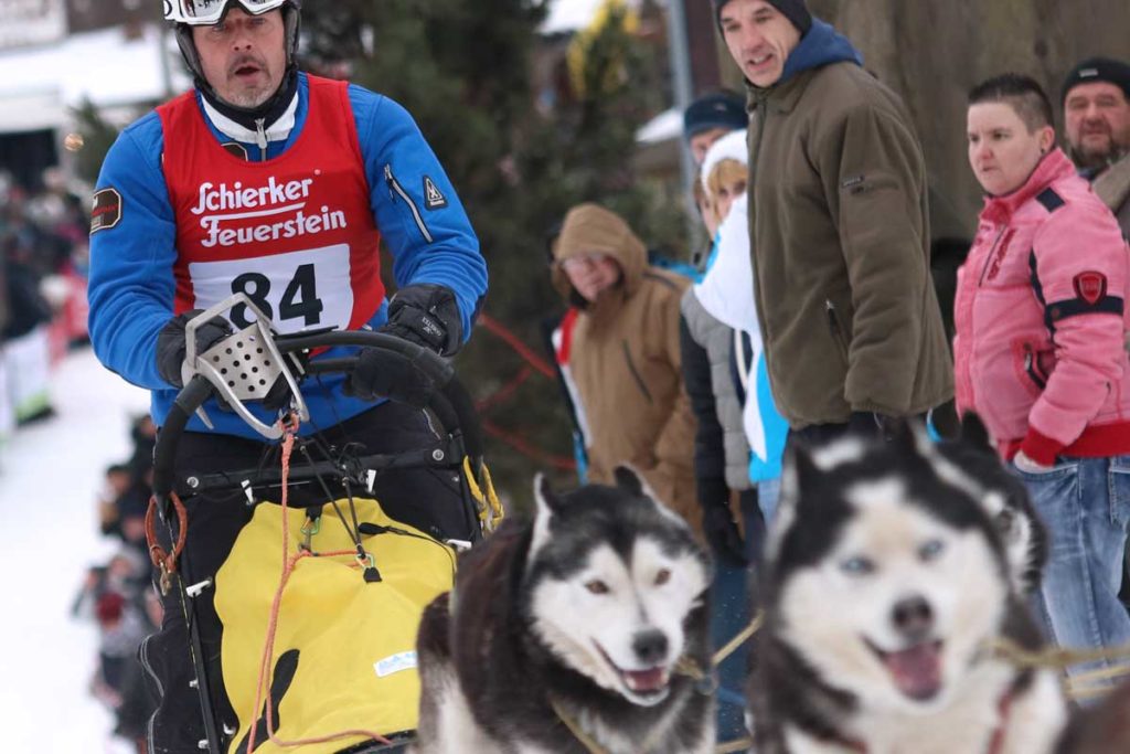 Mehr als 7000 Zuschauer sehen Schlittenhunderennen im Harz